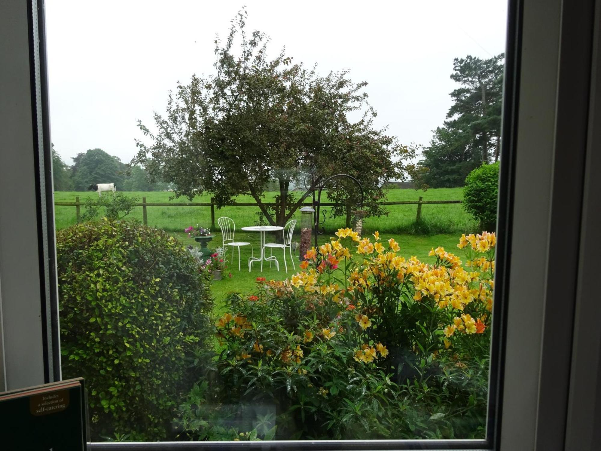 Standard Dreibettzimmer mit Meerblick
